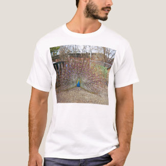 stolzer Pfau T-Shirt