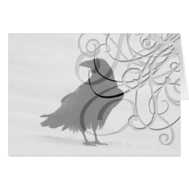 Stolzer Rabe (Vorderseite (Horizontal))