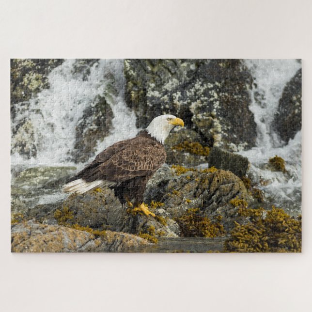 Stolzer Weißkopfseeadler Puzzle (Horizontal)