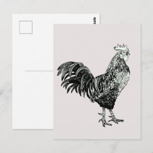 Stolzes kleines Hähnchen! Postkarte
