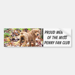 Stolzes Mitglied des Miss Penny Fan Clubs. Autoaufkleber