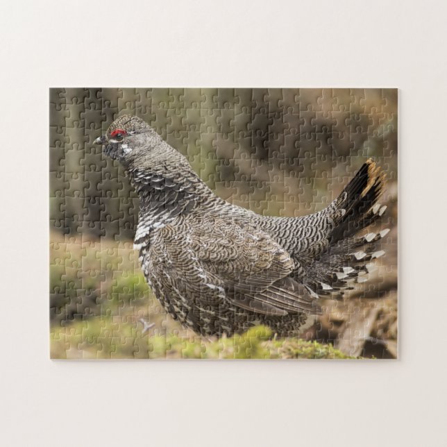 Stolzes Moorhuhn Puzzle (Horizontal)