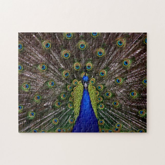 Stolzes Pfau-Fotopuzzlespiel Puzzle (Horizontal)