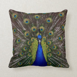 Stolzes Pfau-Wurfskissen Kissen