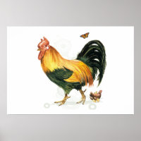 Stolzes Rooster mit Hühnern und Hühnern.