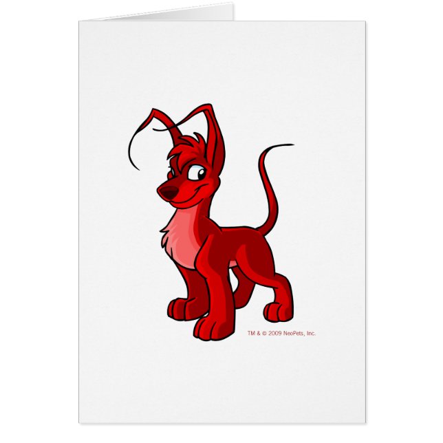 Stolzes rotes Gelert (Vorne)