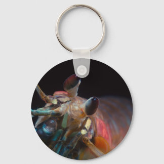 Stomatopod (Mantis Shrimp) Schlüsselanhänger