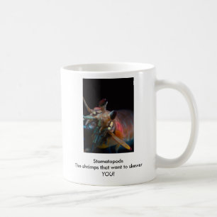 Stomatopods die Garnelen, die wollen, um SIE Tasse