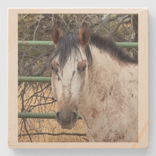 Stone Coaster- Happy Appy  Steinuntersetzer (Vorderseite)