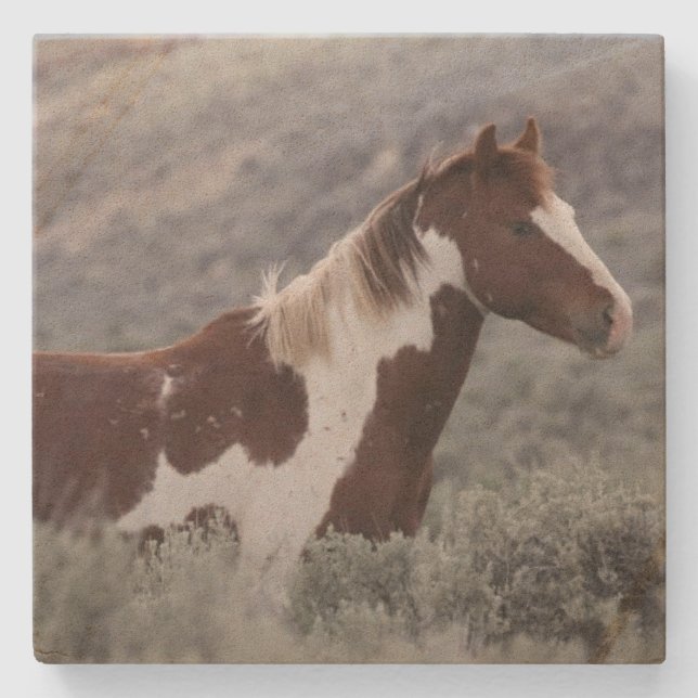 Stone Coaster_pinto stallion side  Steinuntersetzer (Vorderseite)