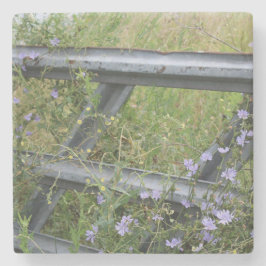 Stone Coaster Steinuntersetzer