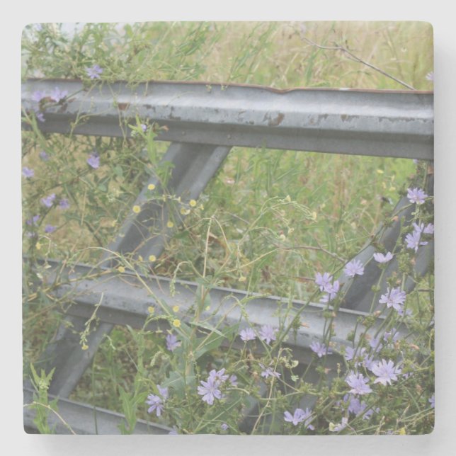 Stone Coaster Steinuntersetzer (Vorderseite)