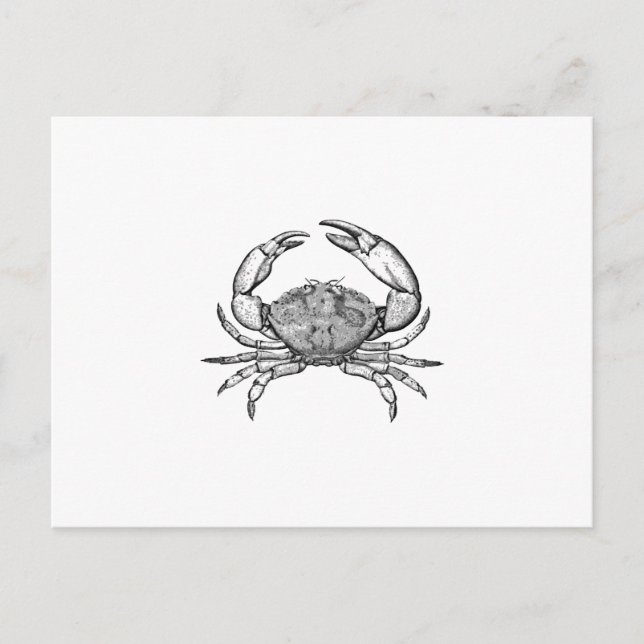 Stone Crab Logo (Line Art) Postkarte (Vorderseite)