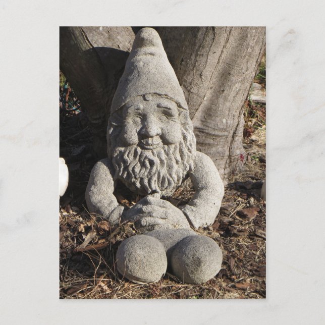 Stone Gnome Postkarte (Vorderseite)