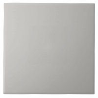 Stone Gray Keramik Tile.