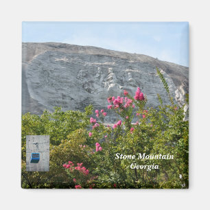 Stone Mountain Georgia Magnet