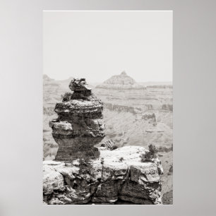 Stone Tempels Poster