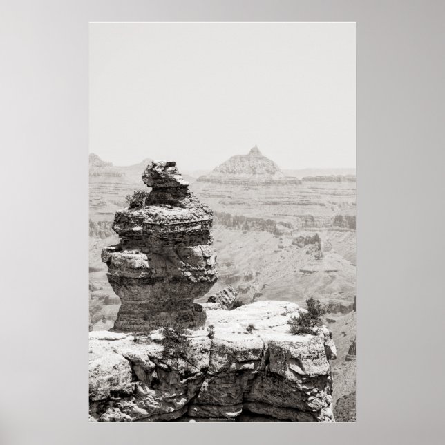 Stone Tempels Poster (Vorne)