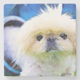 Stone Untersetzer Pekingese Marcus!