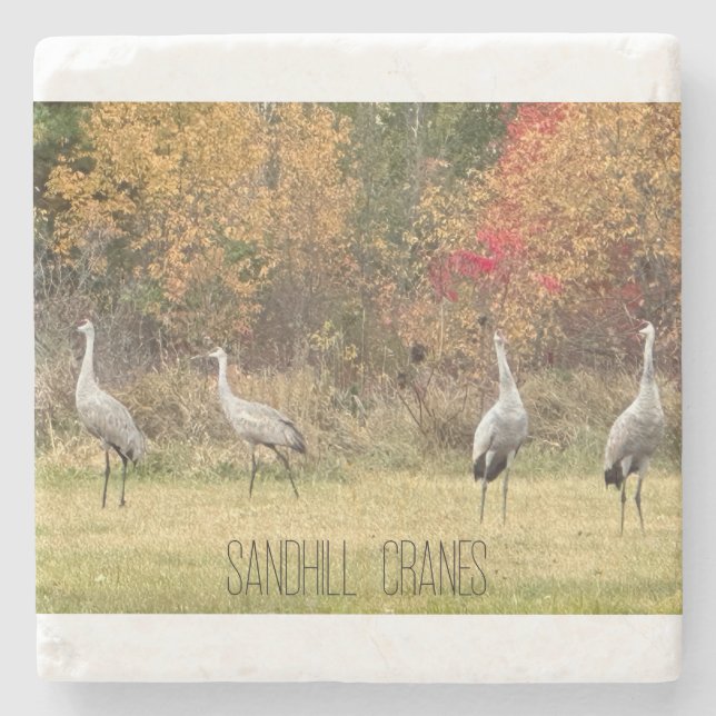 Stone Untersetzer - Sandhill Cranes (Vorderseite)