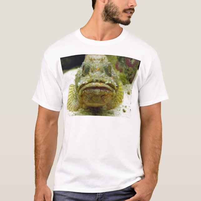Stonefish T-Shirt (Vorderseite)
