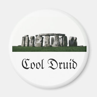Stonehenge - Coole Druide Magnet