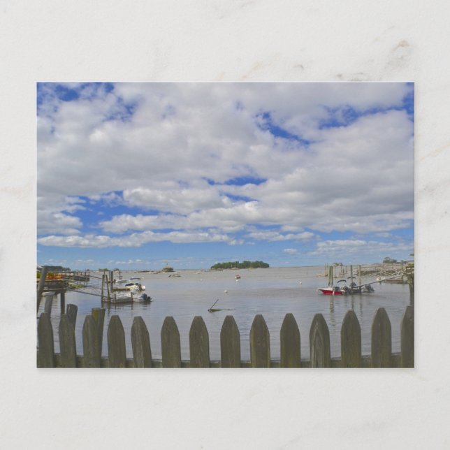 Stony Creek Postcard Postkarte (Vorderseite)