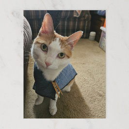 Stop Embarrassing Me! Postcard Feiertagspostkarte