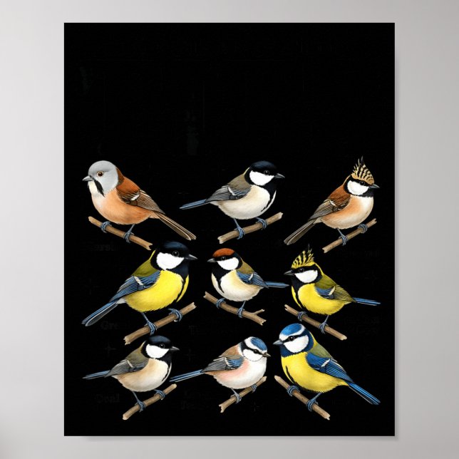 Stop Staring At My Funny Birdwatching Birds Lover  Poster (Vorne)