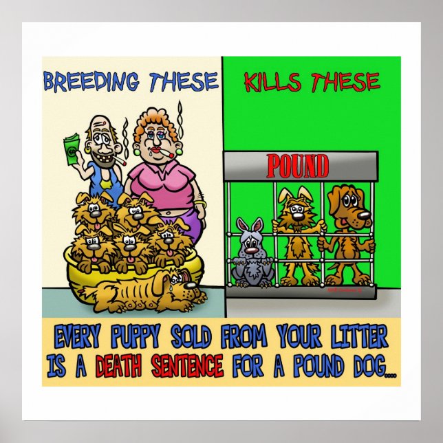 STOPP BACKYARD BREEDING POSTER (Vorne)