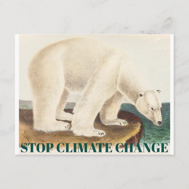 Stopp des Klimawandels gefährdeter arktischer Eisb Postkarte (Vorderseite)