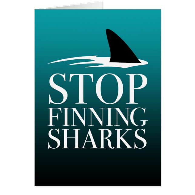 STOPP FINNING SHARKS (Vorne)