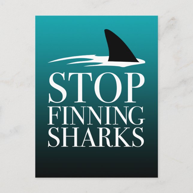 STOPP FINNING SHARKS POSTKARTE (Vorderseite)