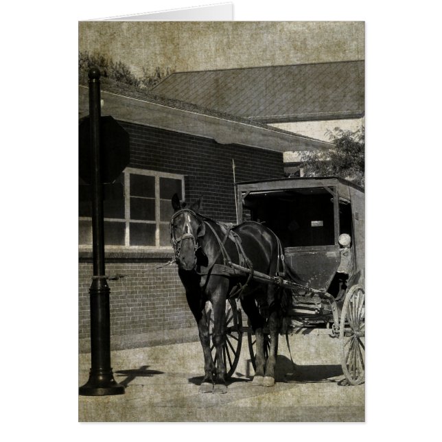 Stopp für einen Zauber, Amish Pferd am Stoppschild (Vorne)