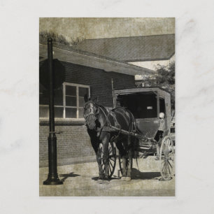 Stopp für einen Zauber, Amish Pferd am Stoppschild Postkarte