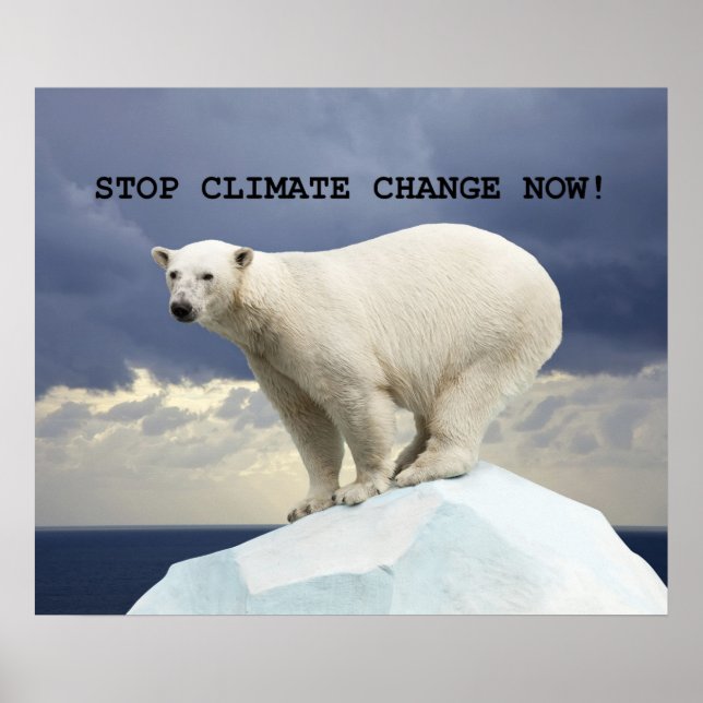 STOPP KLIMAWANDEL JETZT! Polar Bear Poster (Vorne)