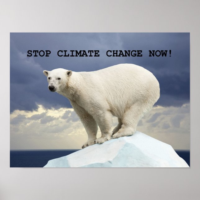 STOPP KLIMAWANDEL JETZT! Polar Bear Poster (Vorne)