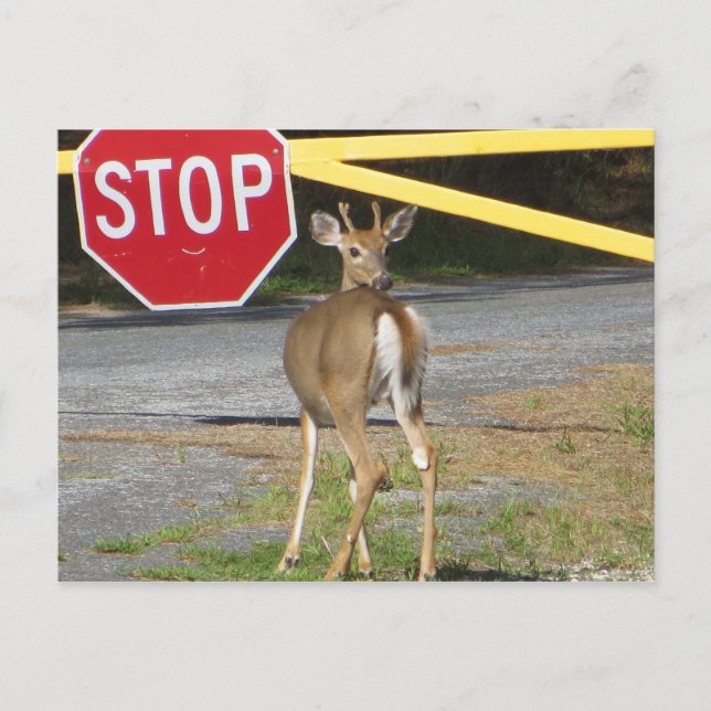 Stopp Postkarte (Vorderseite)