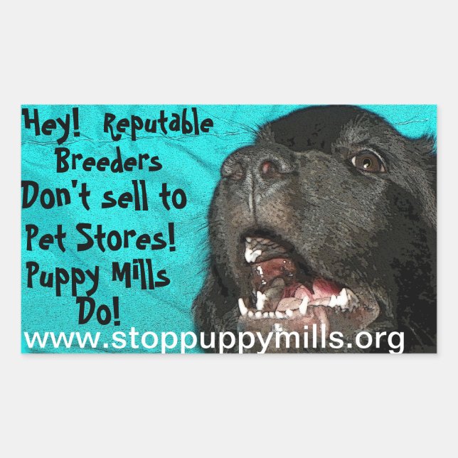 Stopp Puppy Mills Magnet Rechteckiger Aufkleber (Vorderseite)