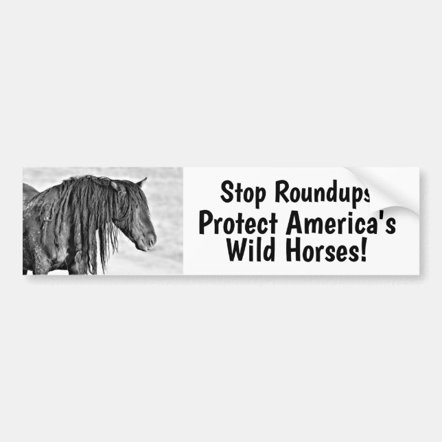 Stopp Wild Horse Roundups Autoaufkleber (Vorne)