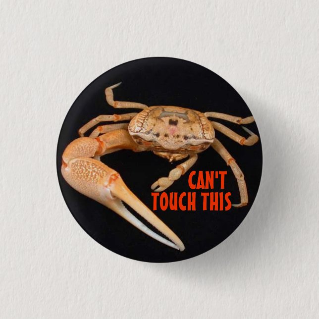 Stoppen Sie Fiedler-Zeit Button (Vorderseite)