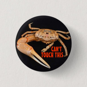 Stoppen Sie Fiedler-Zeit Button