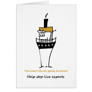 Stoppen Sie Liveexporte