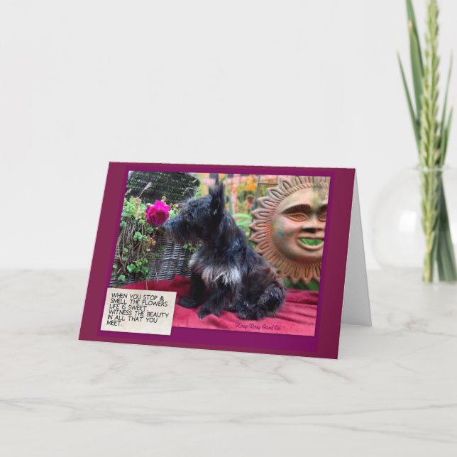 Stoppen und Riechen der Blume-Karte Karte (Vorderseite)