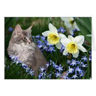 Stoppen und riechen Sie die Blume