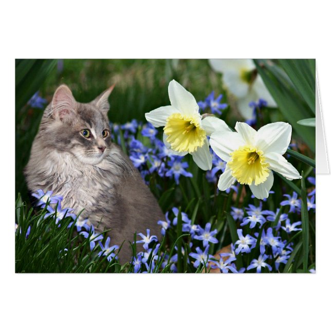 Stoppen und riechen Sie die Blume (Vorderseite (Horizontal))