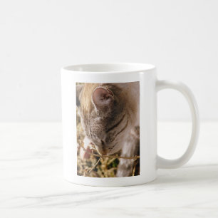 Stoppen und riechen Sie die Blume Tasse