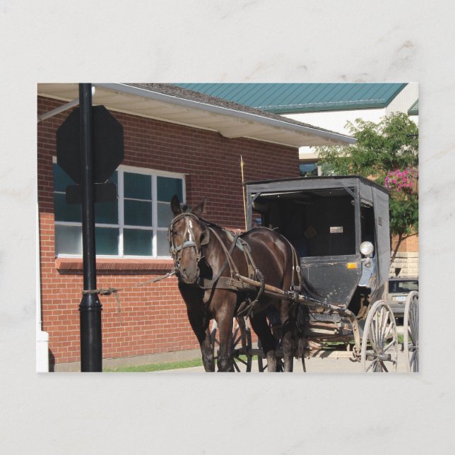 Stoppt für einen Zauber, Ein Amigisches Pferd an S Postkarte (Vorderseite)