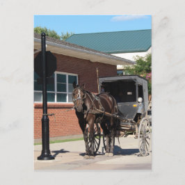 Stoppt für einen Zauber, Ein Amigisches Pferd an S Postkarte