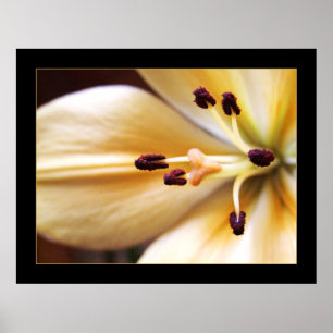 Stoppuhr-Blume-Poster Poster